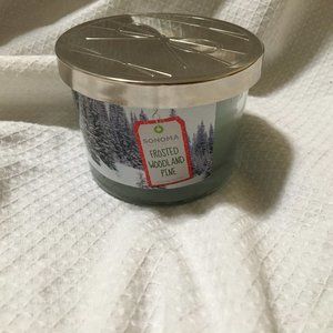 Sonoma Frosted Woodland Pine Candle